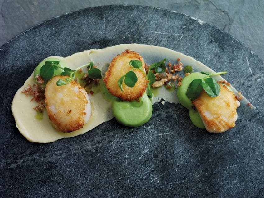 Scallops with pea panna cotta and Parmigiano Reggiano purée 