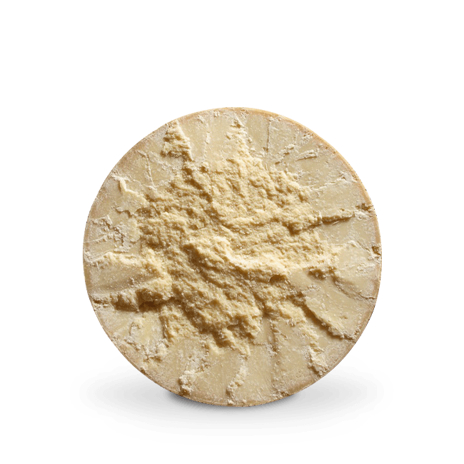 Parmigiano Reggiano e Grana Padano