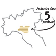 Production dans 5 provinces