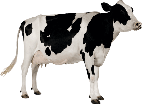 The differences in uniqueness